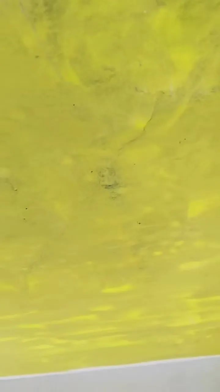 DƬ